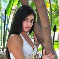 Haripriya New Photo Shoot - Pictures | Picture 115734